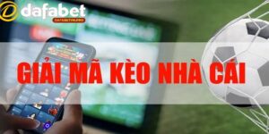 Mã kèo nhà cái Dafabet là gì? Cách đọc và áp dụng hiệu quả