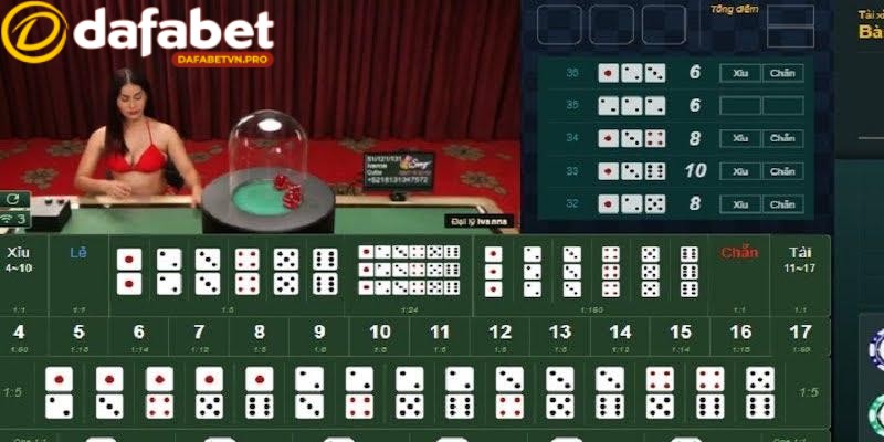 Quy trình chơi tài xỉu Dafabet đơn giản và dễ hiểu